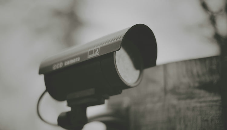 Security & Surveillance