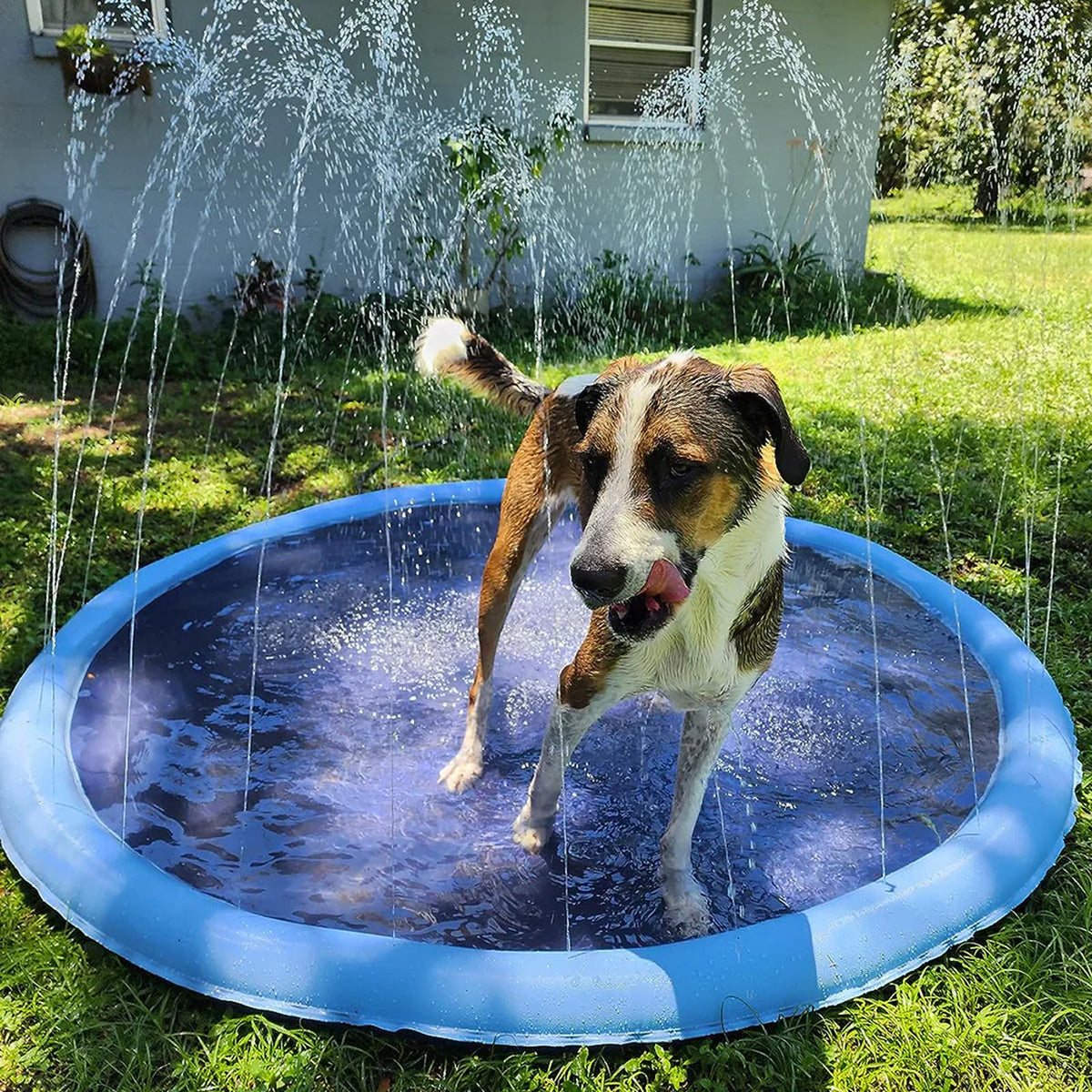 PawWavey Dog Pool