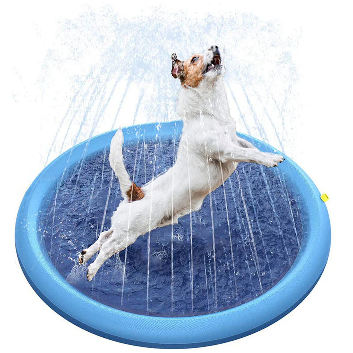 PawWavey Dog Pool