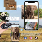 AviZoome Binoculars For Bird Watching