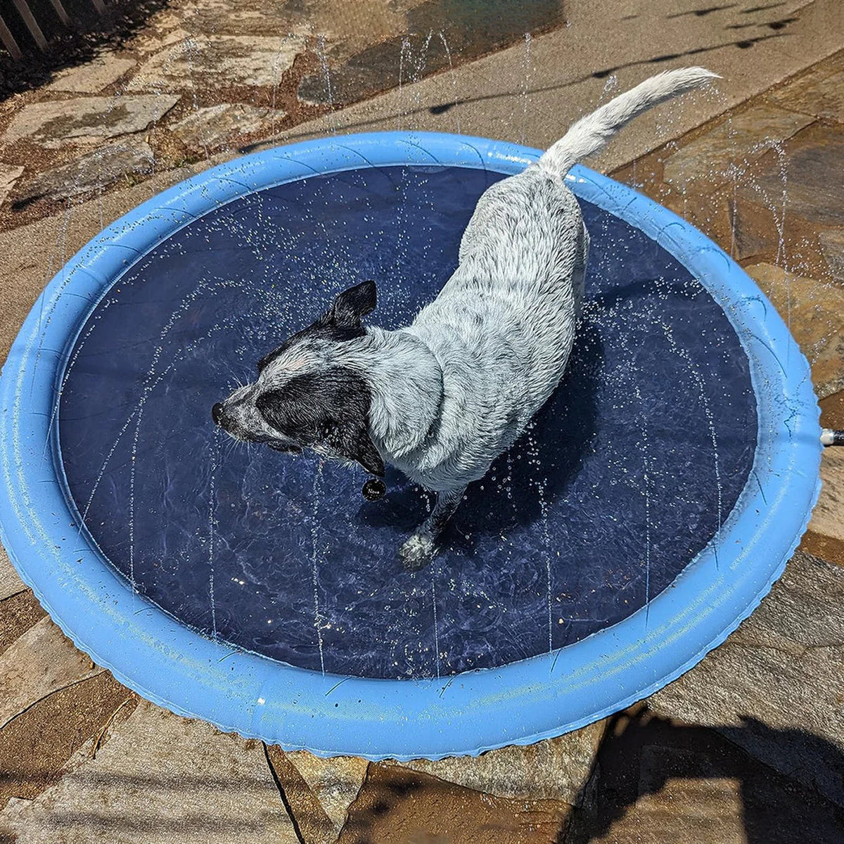 PawWavey Dog Pool