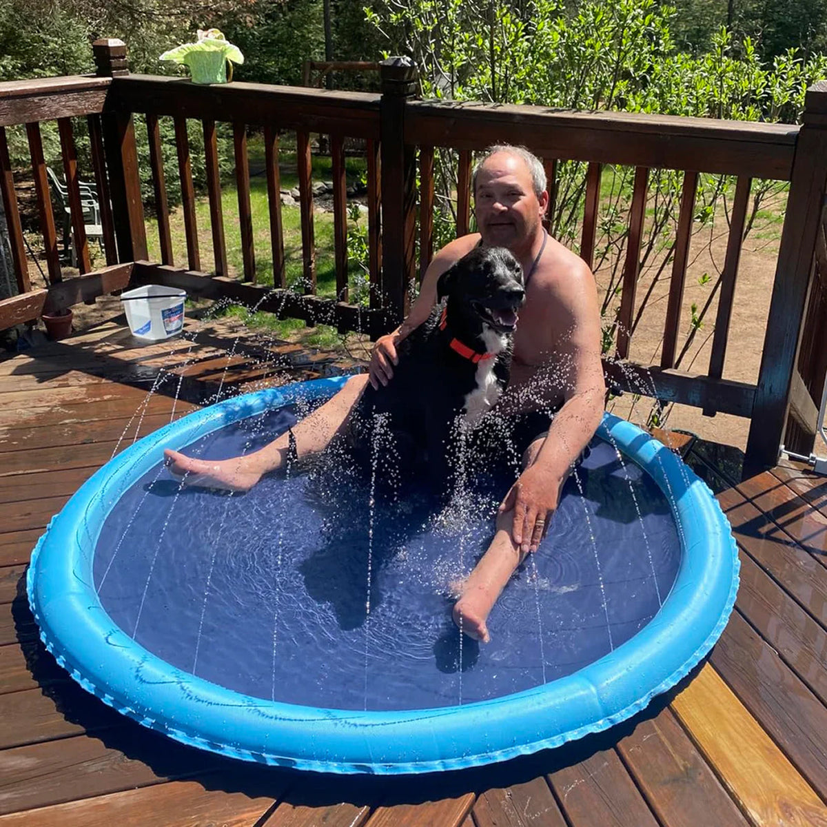 PawWavey Dog Pool