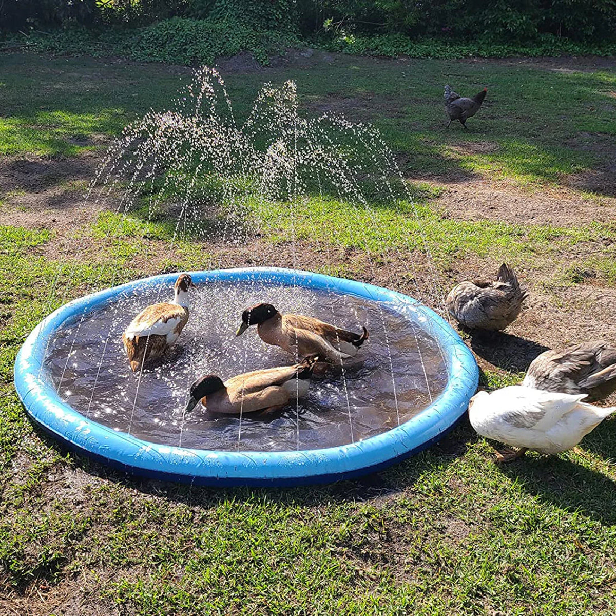 PawWavey Dog Pool