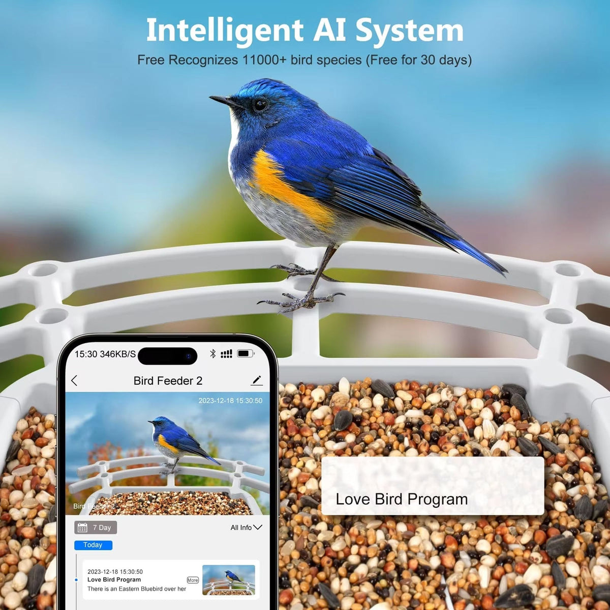 DEMO AI