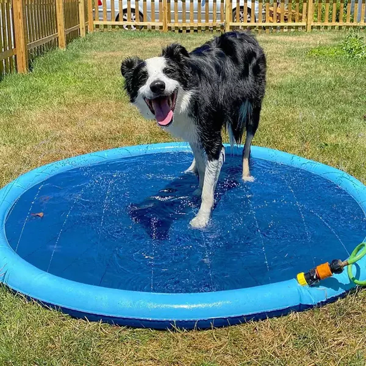 PawWavey Dog Pool