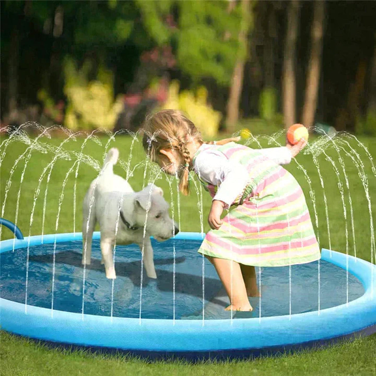 PawWavey Dog Pool