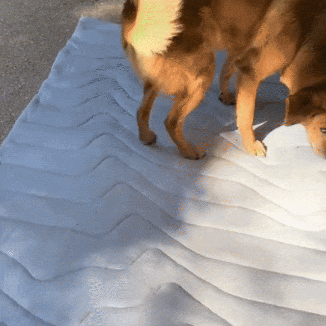 PawFroste Dog Cooling Mat