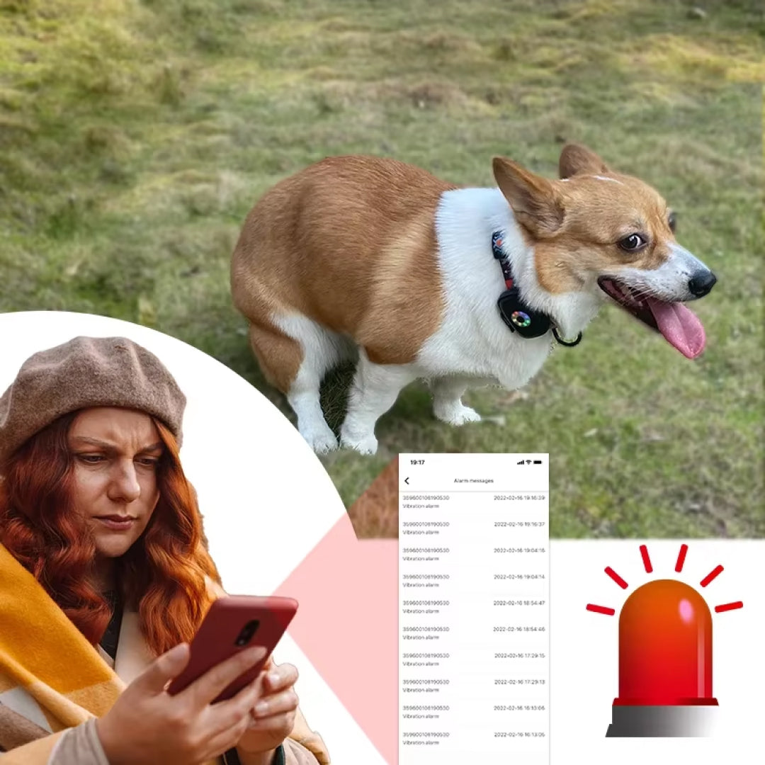 CatMaxe GPS Cat Collar