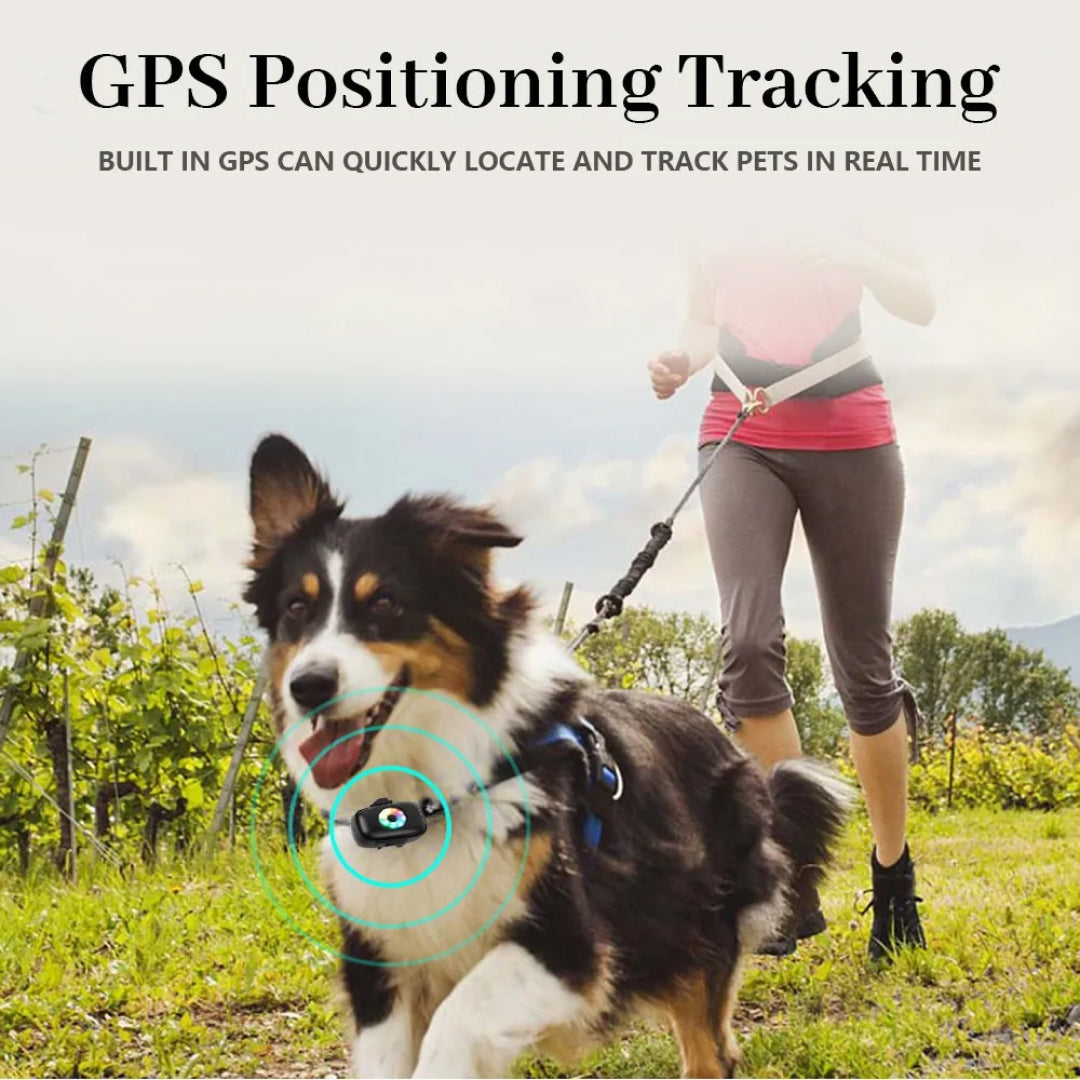 CatMaxe GPS Cat Collar