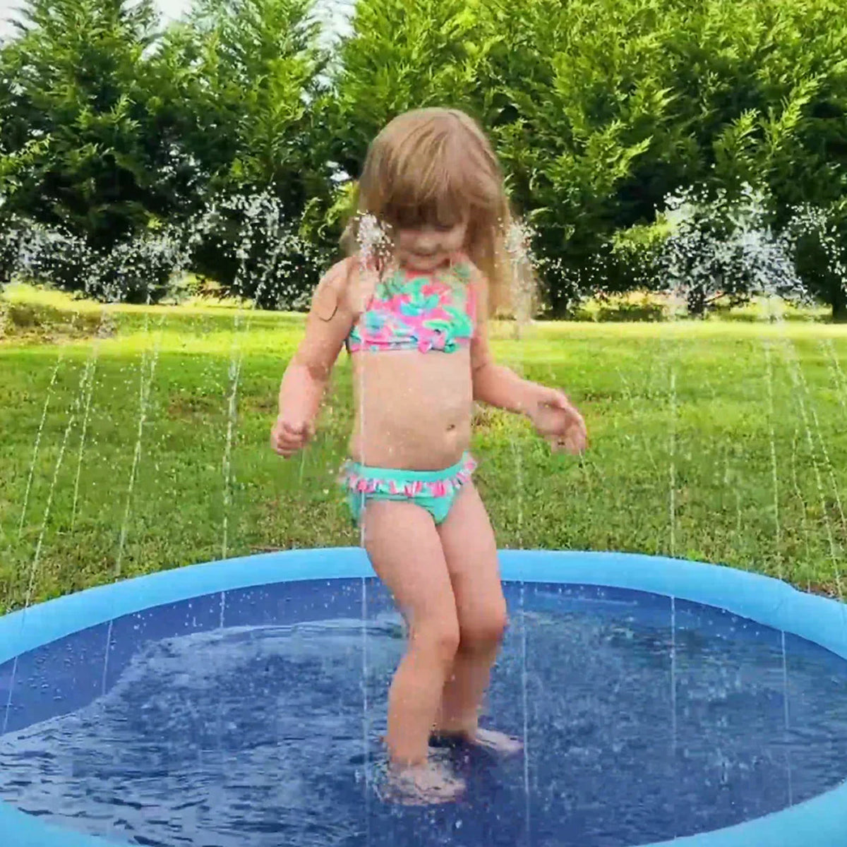 PawWavey Dog Pool