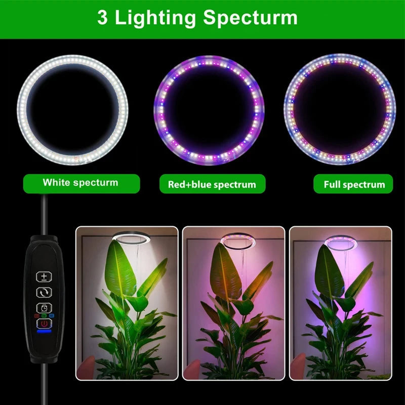 Floramoot Indoor Grow Lights For Plants