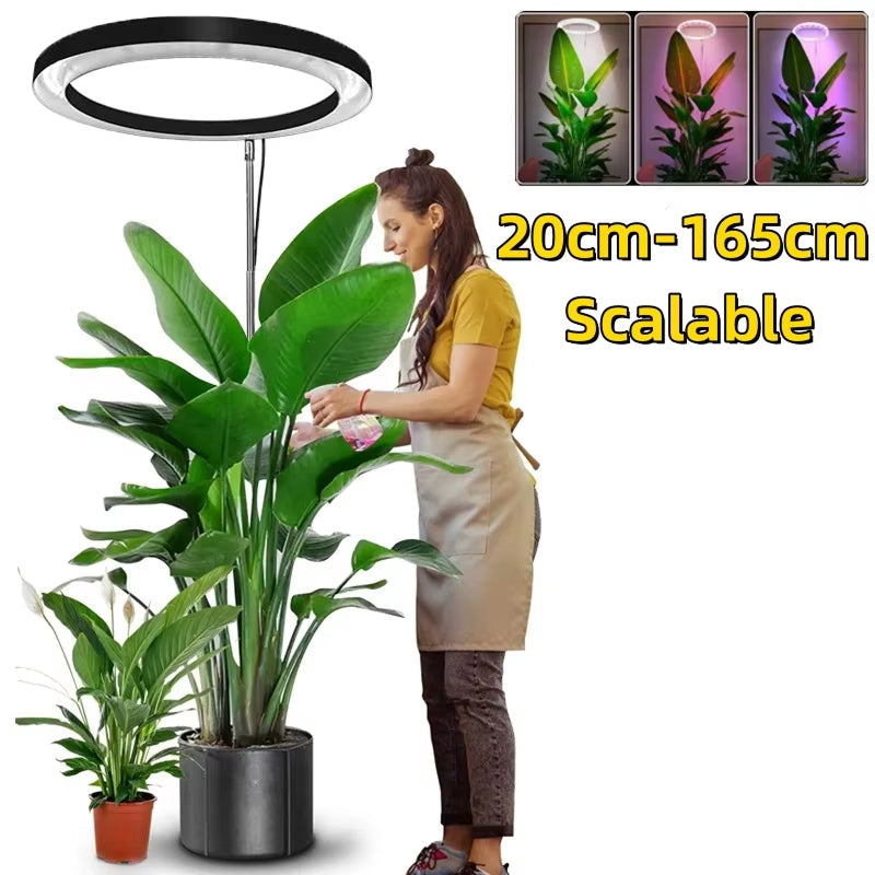 Floramoot Indoor Grow Lights For Plants