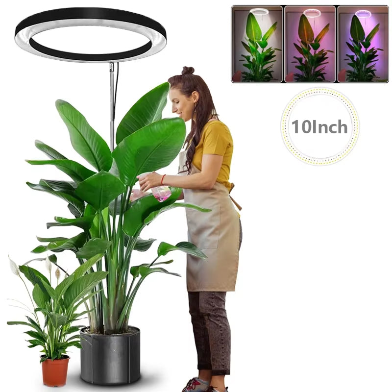 Floramoot Indoor Grow Lights For Plants
