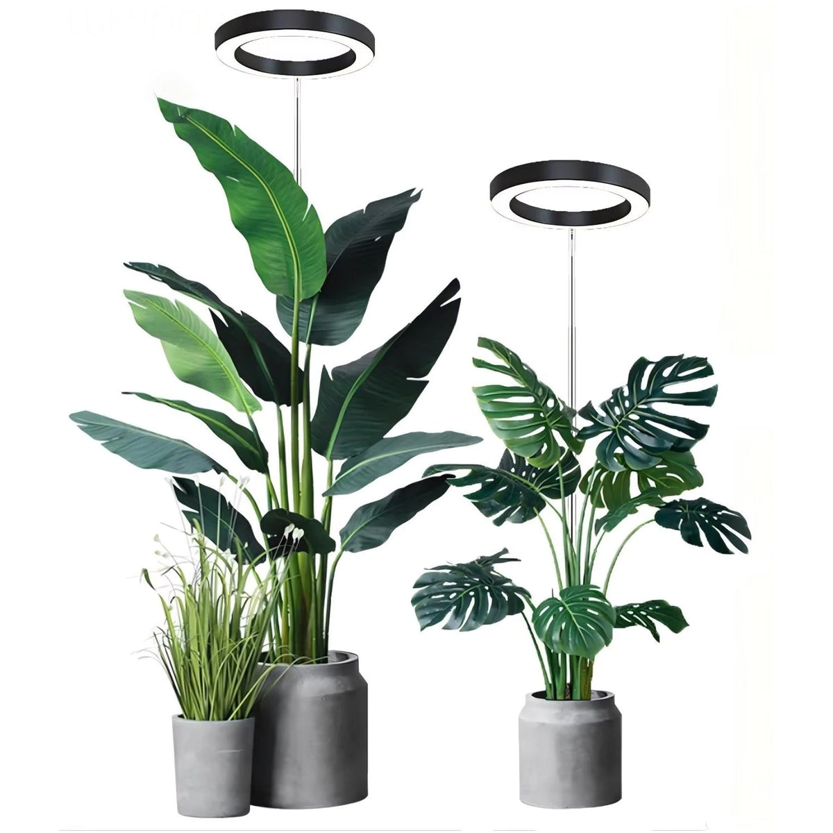 Floramoot Indoor Grow Lights For Plants