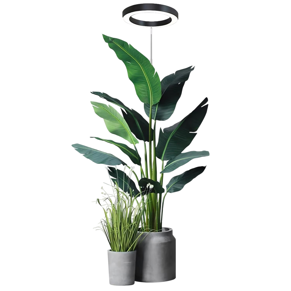 Floramoot Indoor Grow Lights For Plants