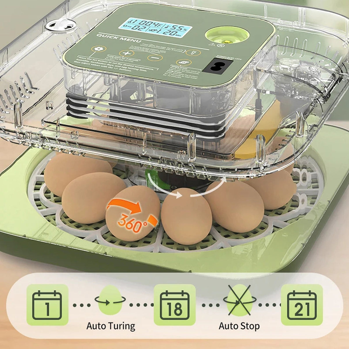 Hatchivax Egg Incubator Australia