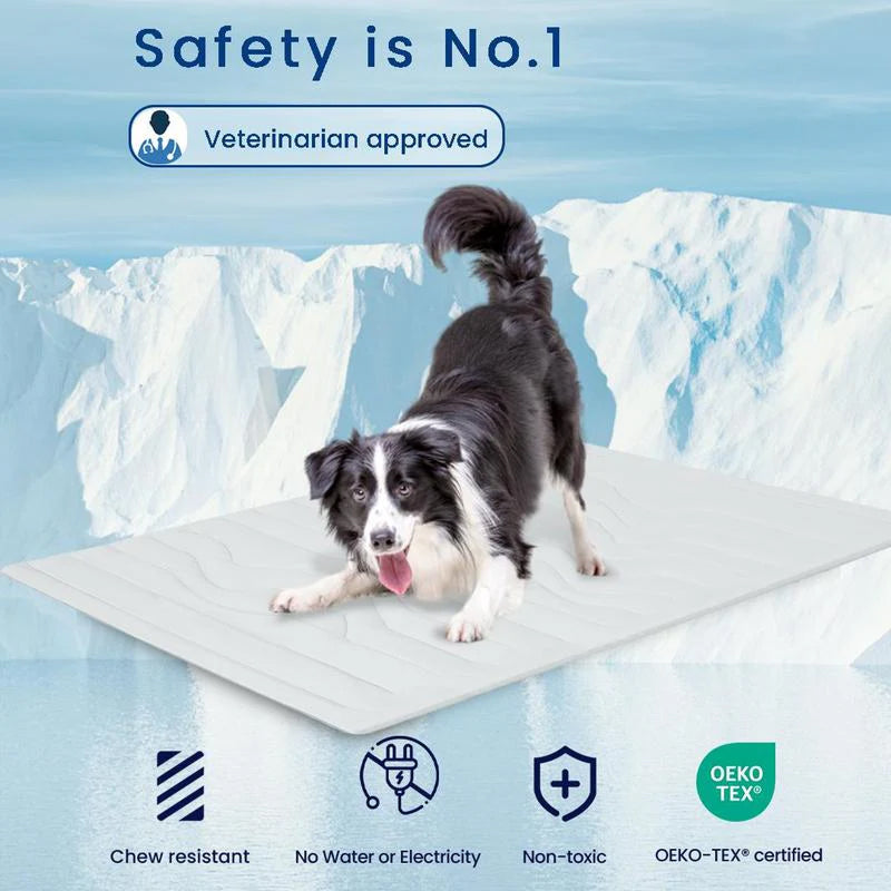 PawFroste Dog Cooling Mat