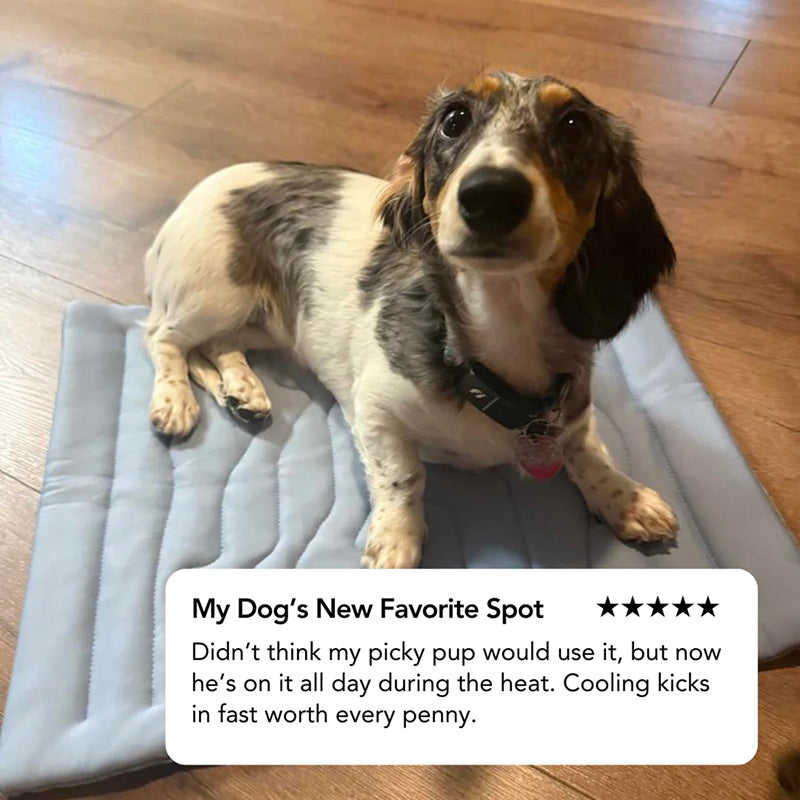 PawFroste Cooling Mats for Dogs Australia