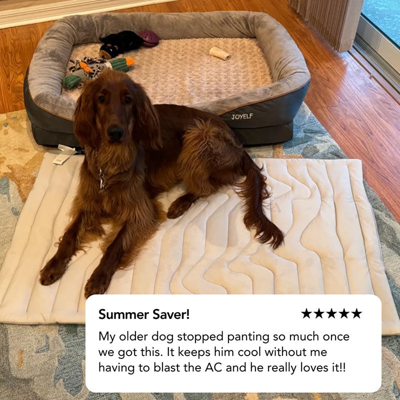 PawFroste Dog Cooling Mat