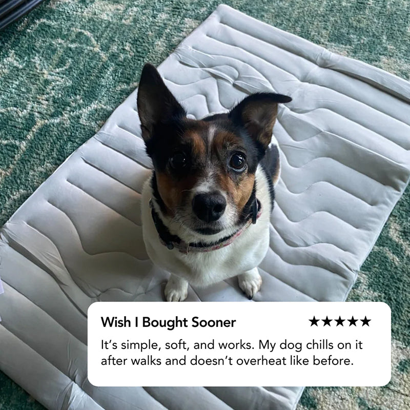 PawFroste Cooling Mats for Dogs Australia