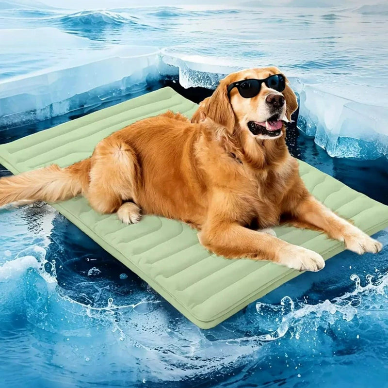 PawFroste Cooling Mats for Dogs Australia