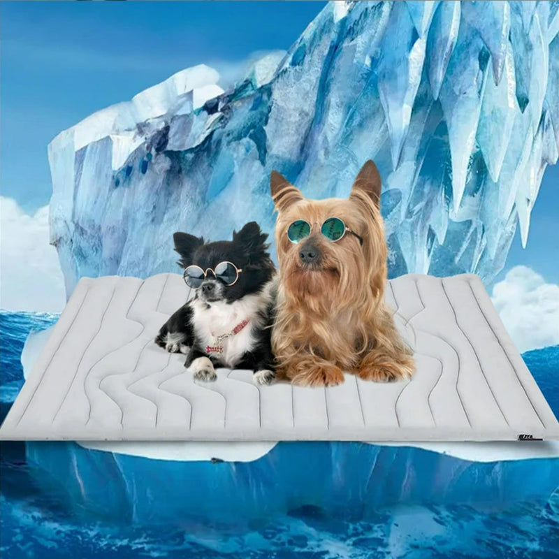 PawFroste Cooling Mats for Dogs Australia
