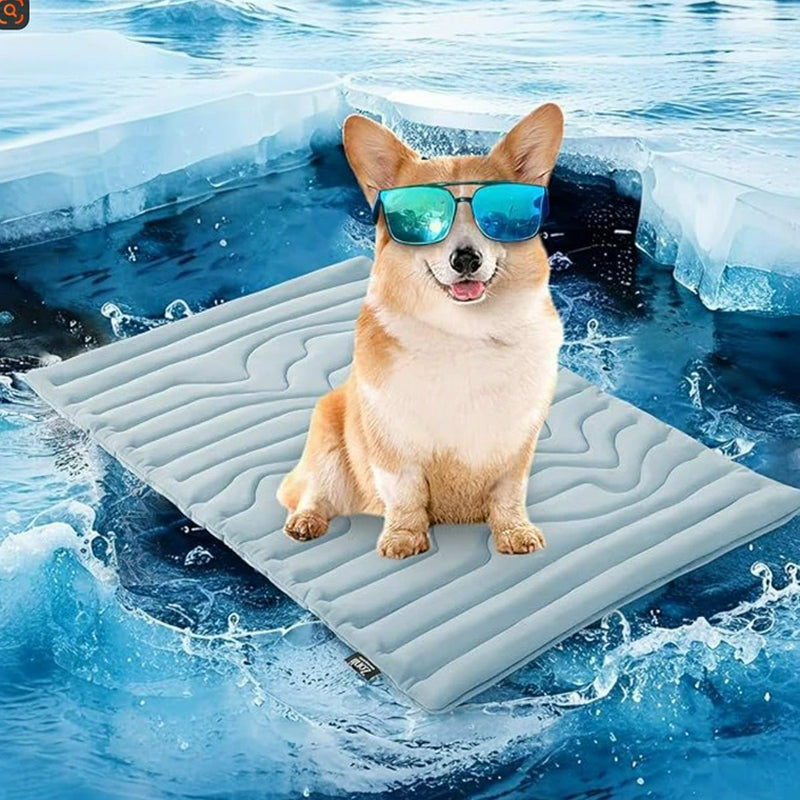 PawFroste Cooling Mats for Dogs Australia