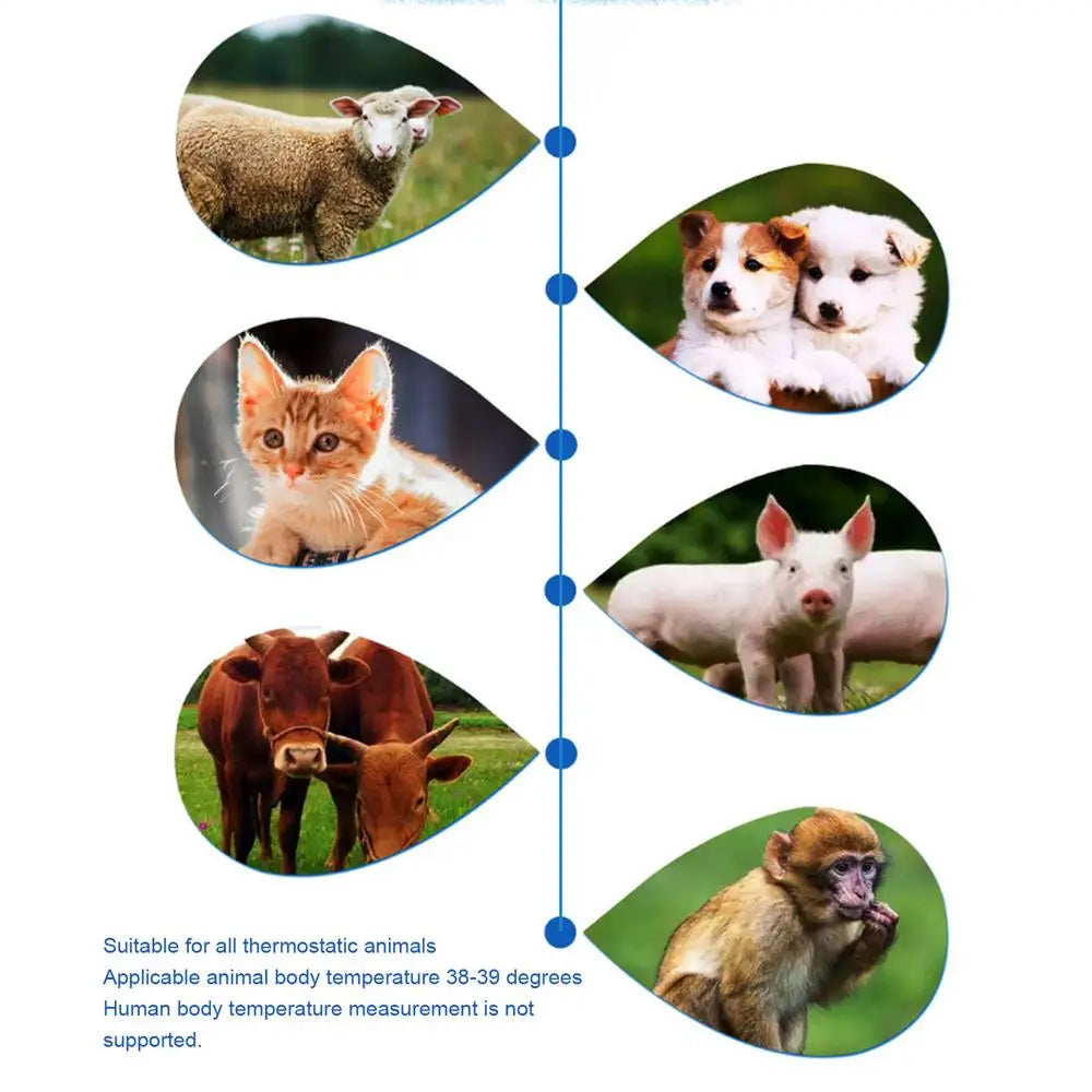 Vetizect Ear Thermometer For Dogs