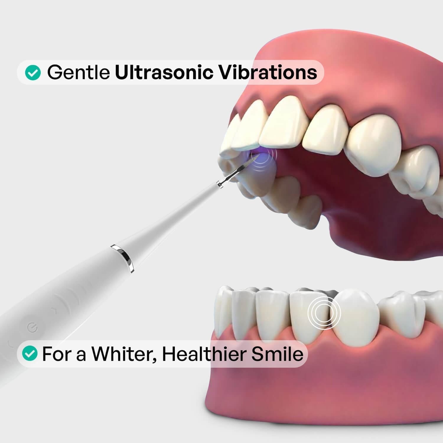 Zamoxque Plaque Remover