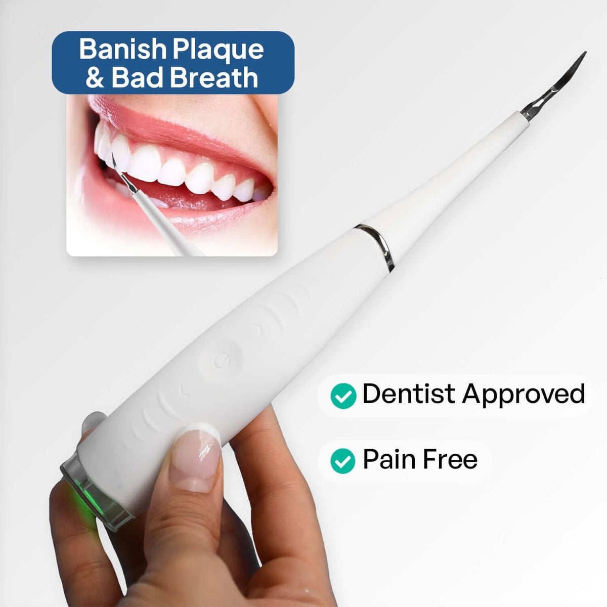 Zamoxque Plaque Remover